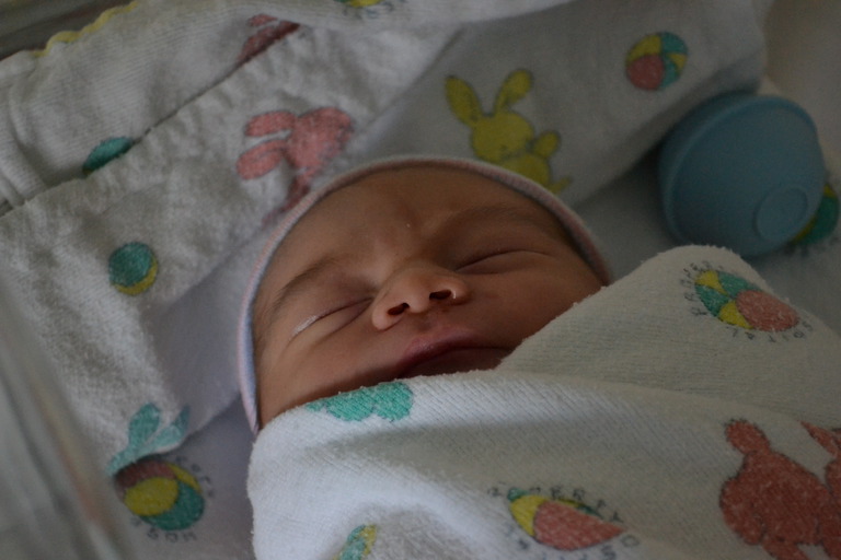 Milo's Birth Day