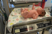 Milo's Birth Day