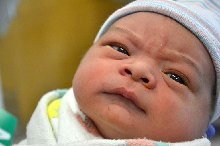 Milo's Birth Day
