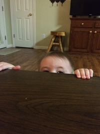 Day Two Hundred and Thirty-Four