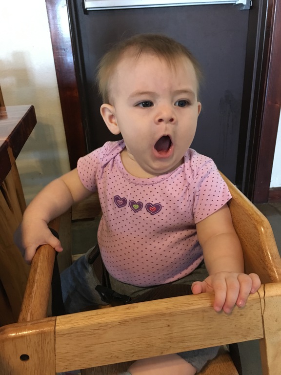 Day Two Hundred and Thirty-Six