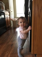 Day Two Hundred and Thirty-Eight