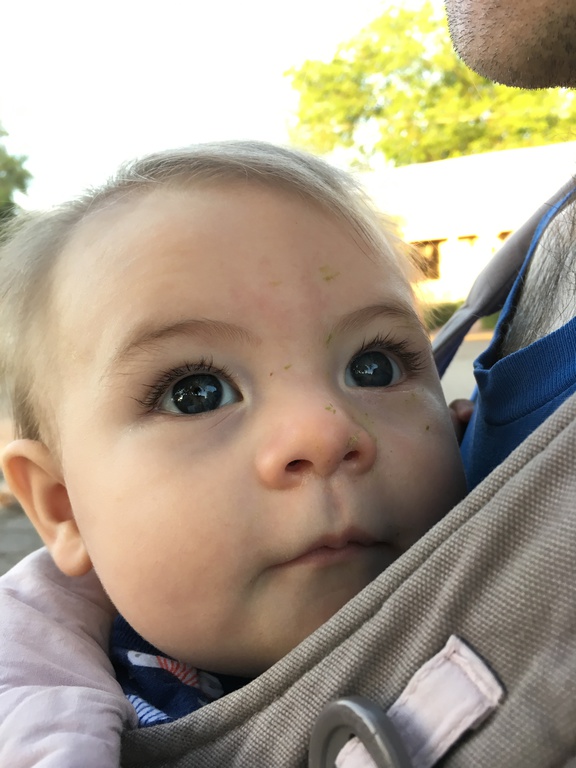 Day Two Hundred and Forty
