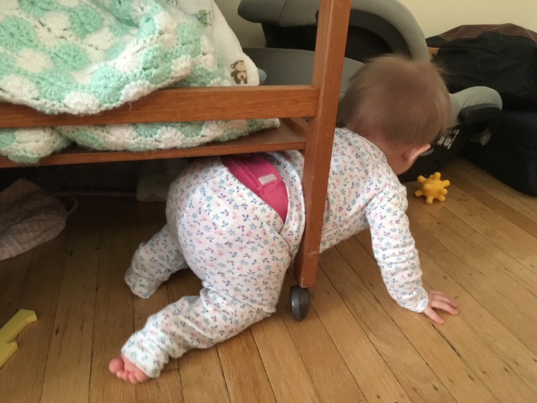 Day Two Hundred and Forty-Five