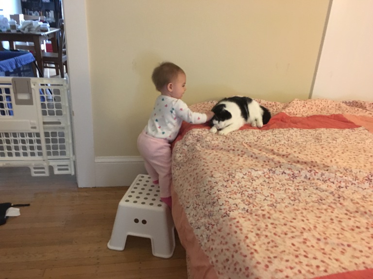 Day Two Hundred and Fifty-Three