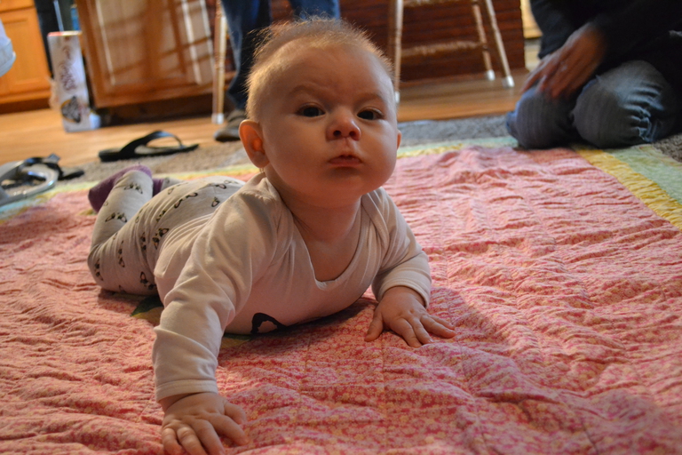 Day One Hundred and Thirty-Five