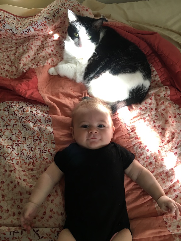 Day One Hundred and Seventy-Six