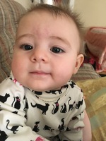 Day One Hundred and Eighty-Two