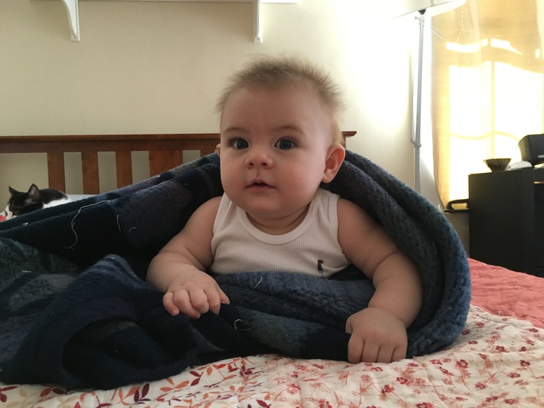 Day One Hundred and Eighty-Five