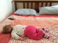 Day One Hundred and Ninety-Two