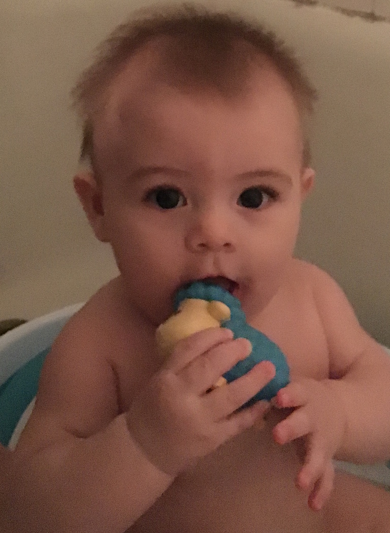 Day One Hundred and Ninety-Six