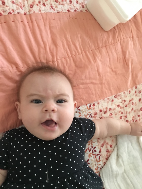 Day One Hundred and Forty-Eight