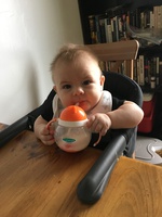 Day One Hundred and Fifty-Six