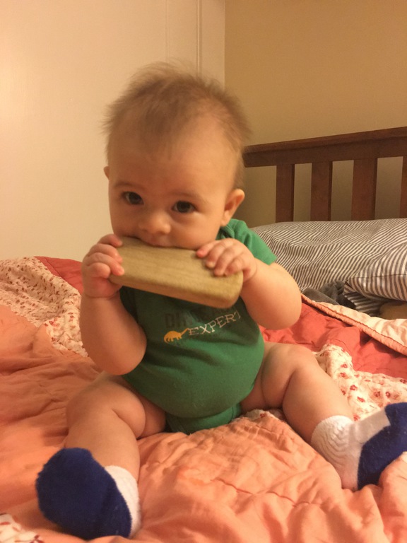 Day One Hundred and Sixty-Nine