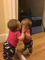 Day Two Hundred and Twenty-Three