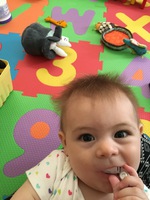 Day Two Hundred and Thirty-One