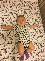 Day One Hundred and One