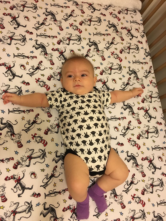 Day One Hundred and One